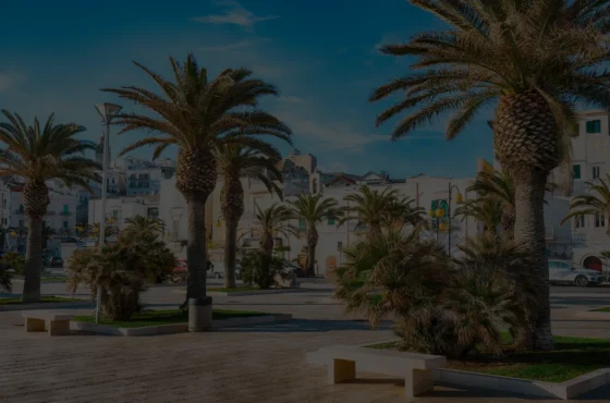 Acheter ou Vendre un Bien Immobilier à Sousse – Guide Complet par Forsa Immo