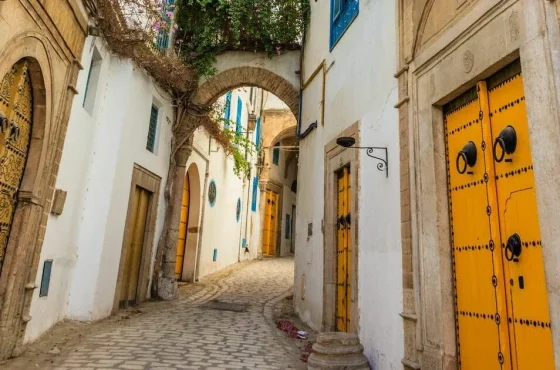 Pourquoi investir dans l’immobilier en Tunisie ?