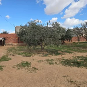 Agence De Vente Maison-Forsa Immo