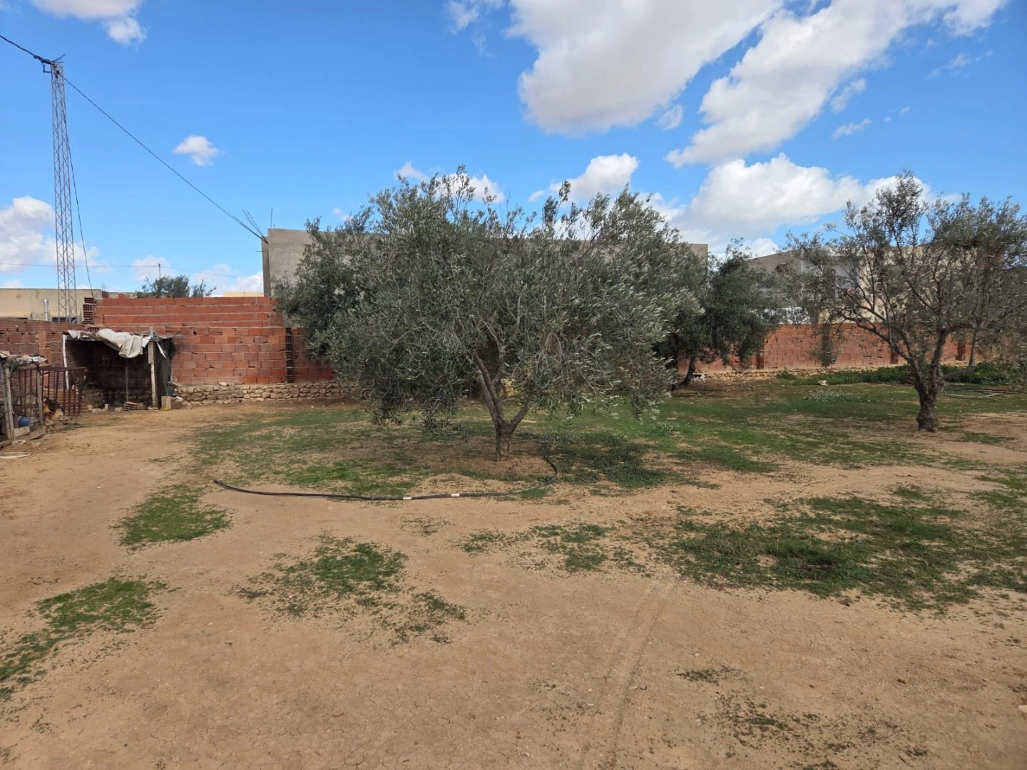 Agence De Vente Maison-Forsa Immo