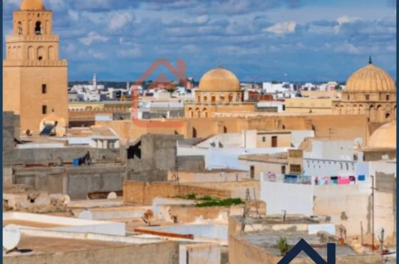 Samsar Kairouan : Guide pour acheter ou vendre un bien immobilier à Kairouan