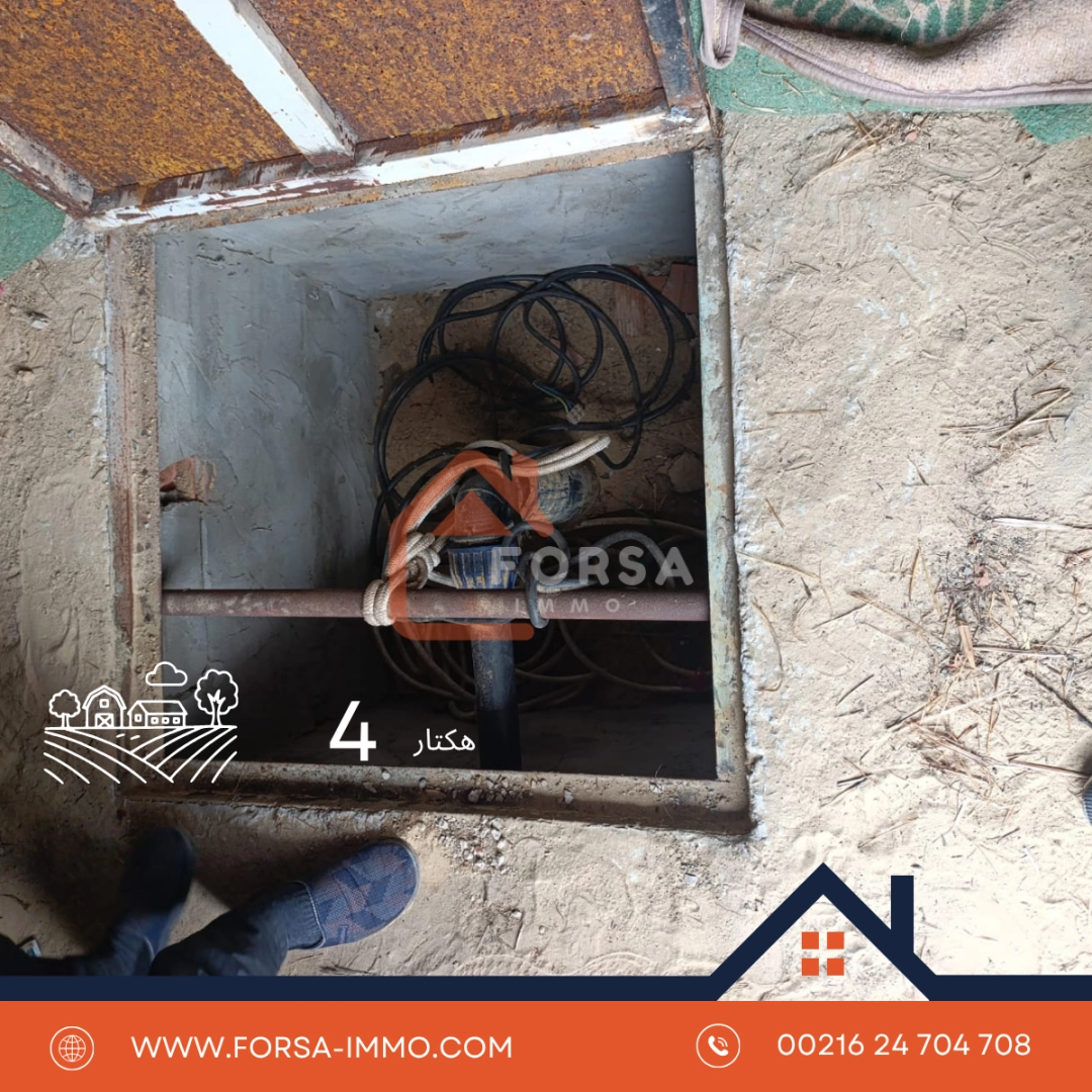 Forsa Immo Meilleur Agence Immobiliere Kairouan 3