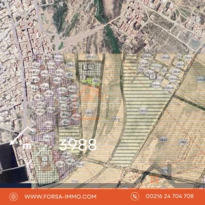 Forsa Immo Agence Immobilière Fiable Kairouan