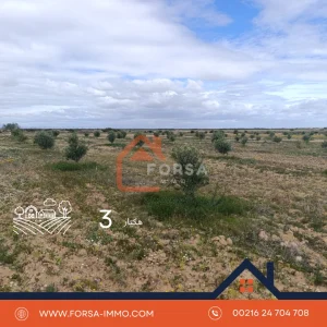 Forsa Immo Acheter Une Maison Kairouan 4