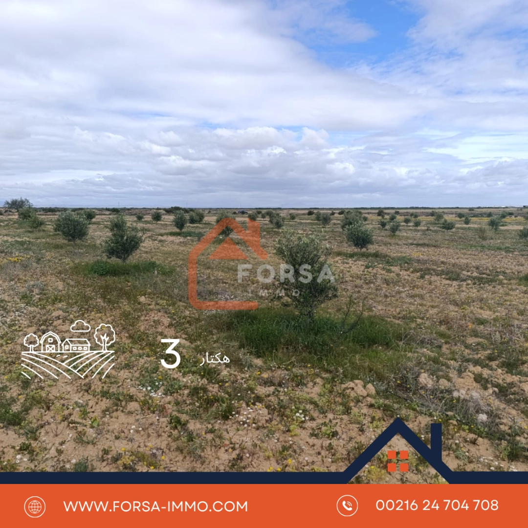 Forsa Immo Acheter Une Maison Kairouan 4