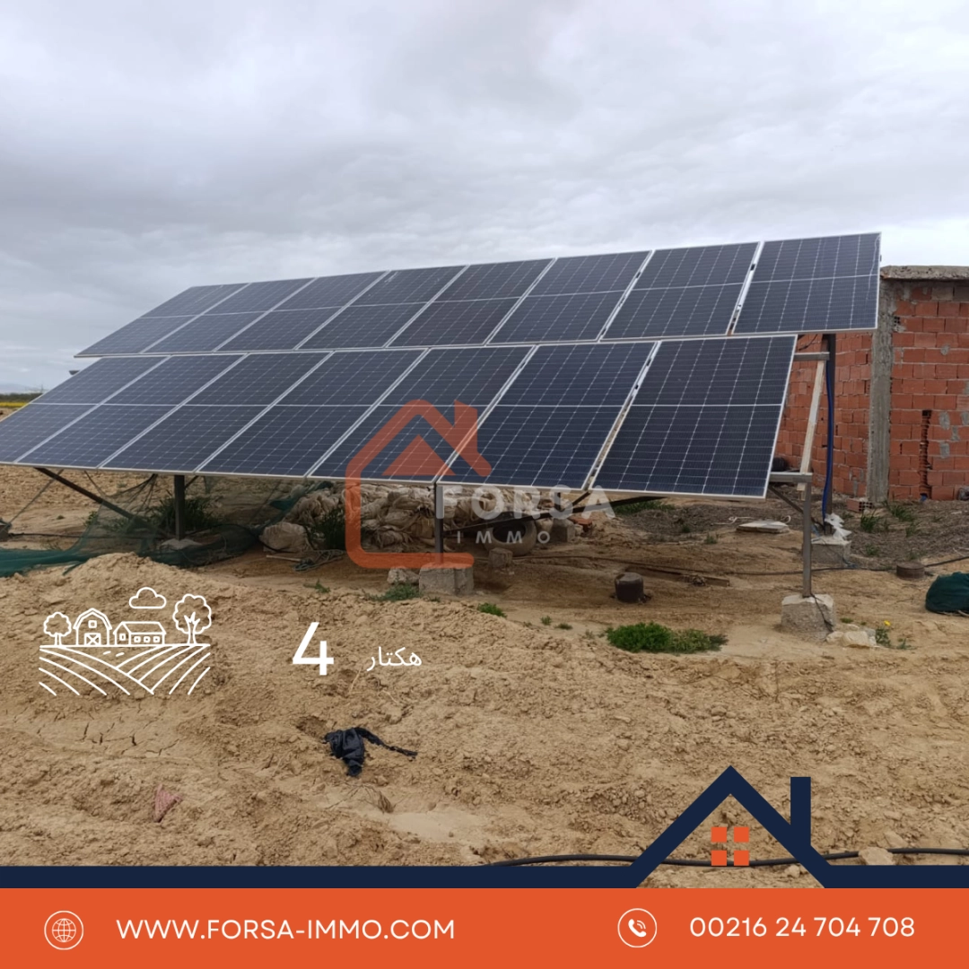 Forsa Immo Forsa Immo Kairouan