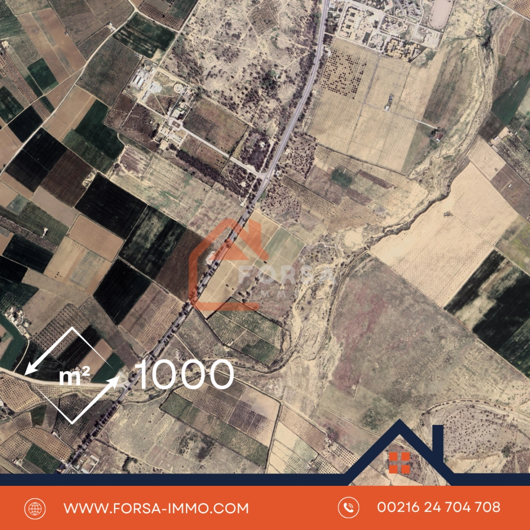 Agence Immobiliere A Kairouan Samsar Kairouan 2