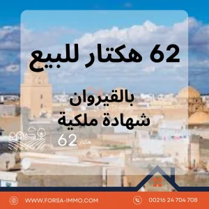 Agence Immobiliere A Kairouan Bonne Agence Immobilière 2