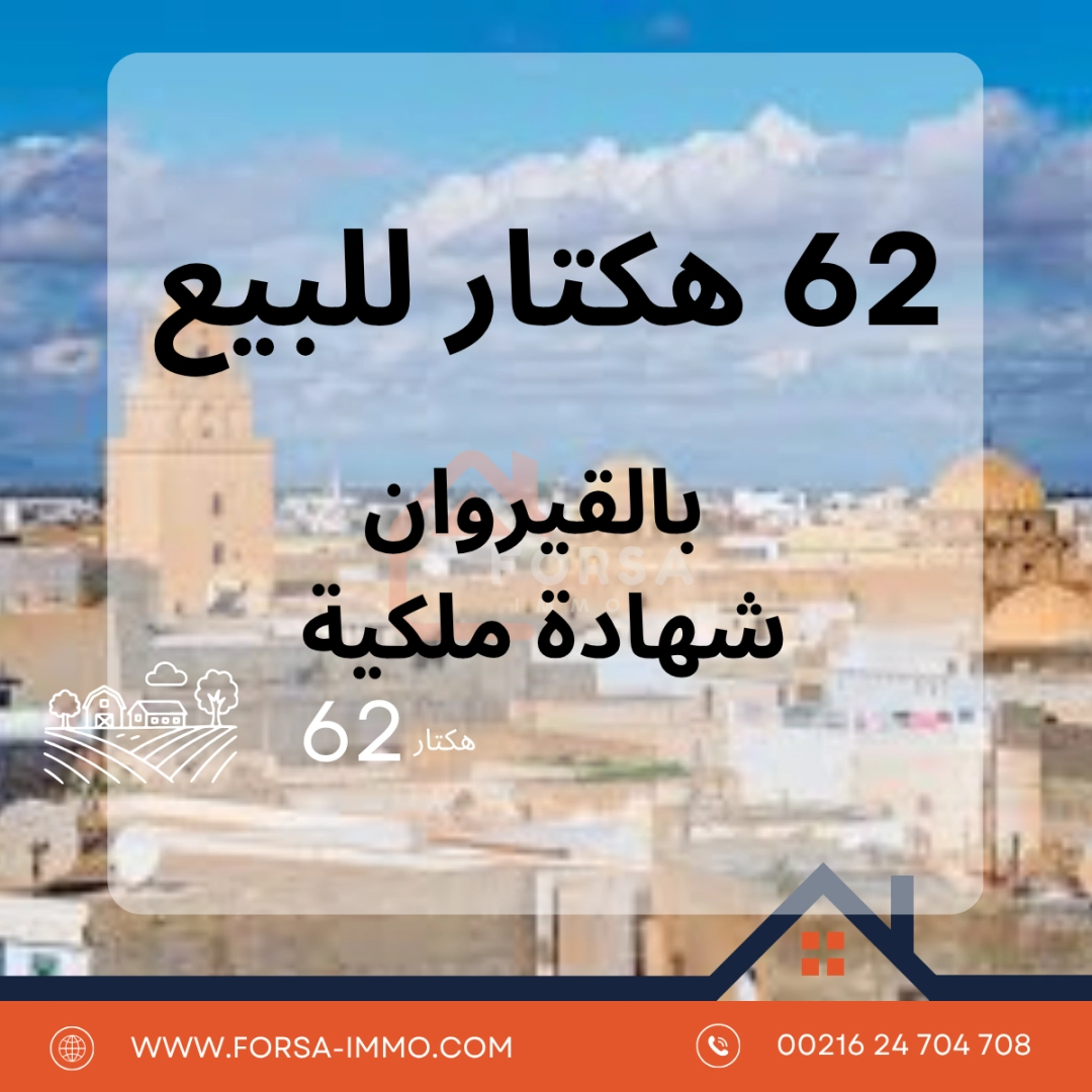 Agence Immobiliere A Kairouan Bonne Agence Immobilière 2