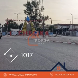 Agence Immobiliere A Kairouan Forsa Immo