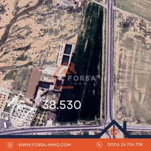 Forsa Immo Forsa Immobiliere 4