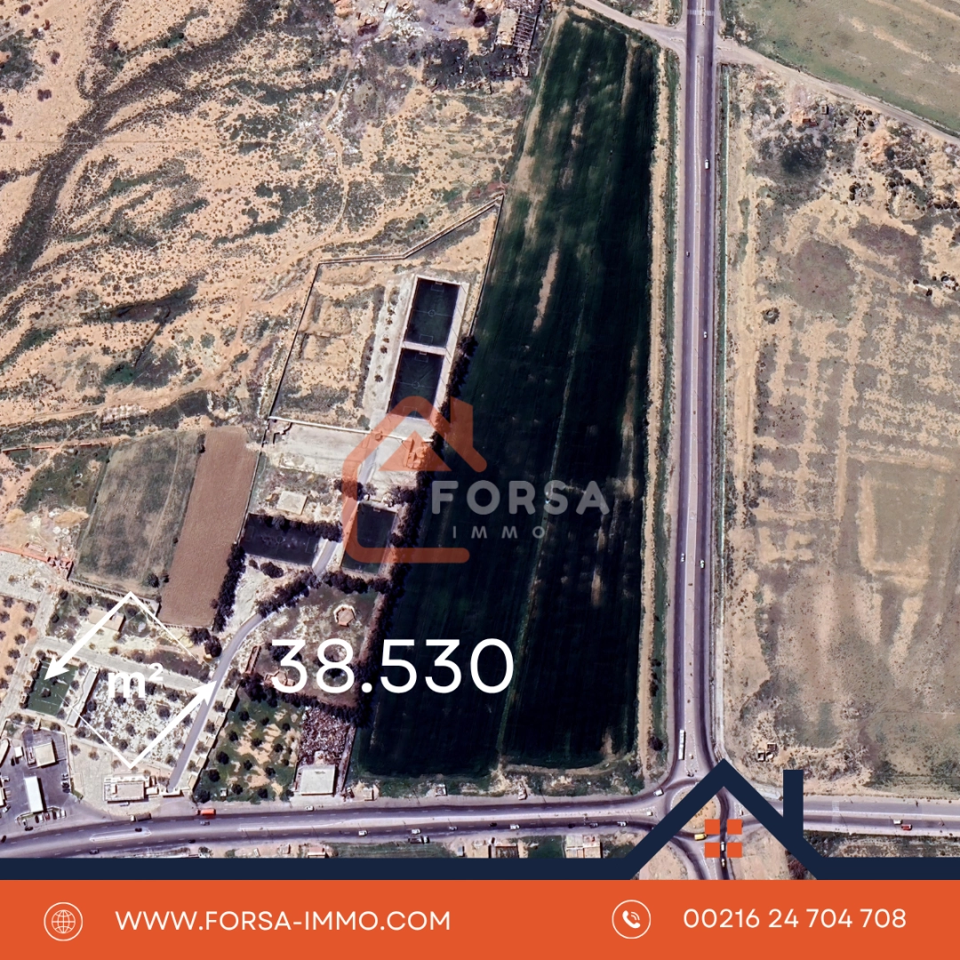 Forsa Immo Forsa Immobiliere 4