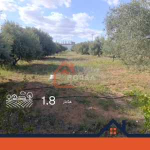 Forsa Immo Vendre Maison à Kairouan 3