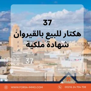Agence Immobiliere A Kairouan Meilleure Agence Immobilière 3