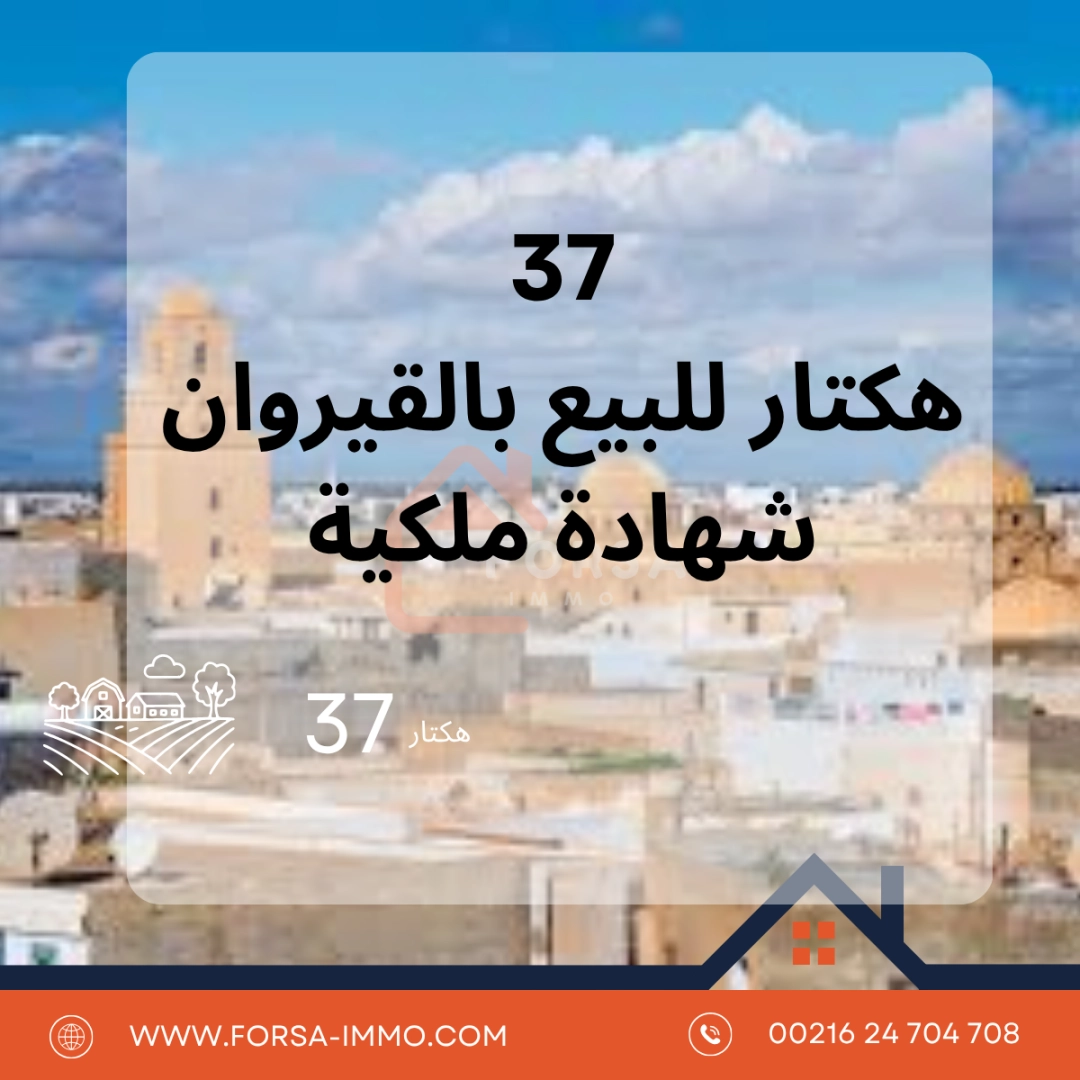 Agence Immobiliere A Kairouan Meilleure Agence Immobilière 3