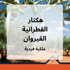 Agence Immobiliere A Kairouan Acheter Maison à 7