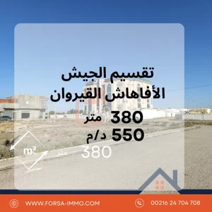 Agence Immobiliere A Kairouan Consultant Immobilier Kairouan 6