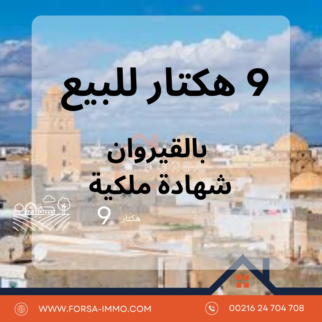 Agence Immobiliere A Kairouan Maison A Vendre 5