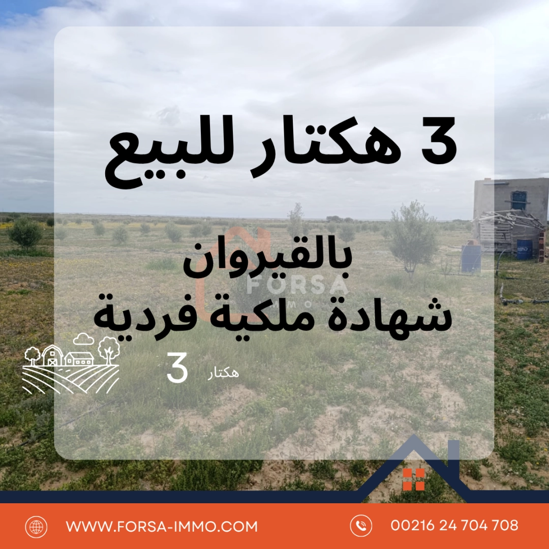 Agence Immobiliere A Kairouan Acheter Une Maison 8