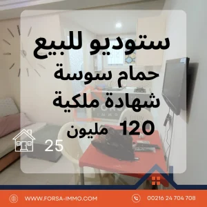 Agence Immobiliere A Kairouan Acheter Une Maison 4