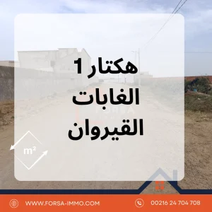 Agence Immobiliere A Kairouan Acheter Une Maison 11