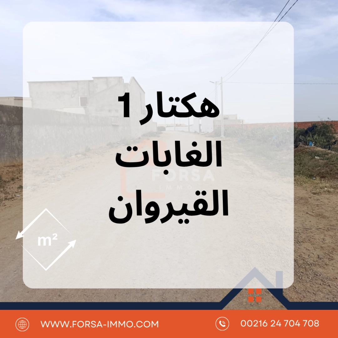 Agence Immobiliere A Kairouan Acheter Une Maison 11