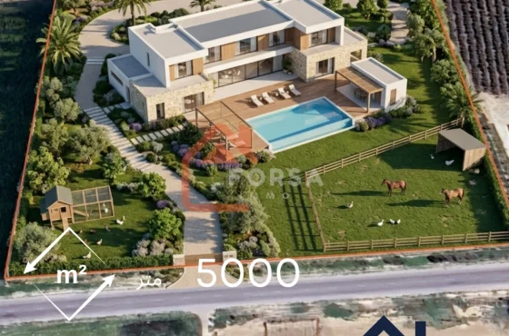 Investir à Kairouan en 2026 : le guide complet