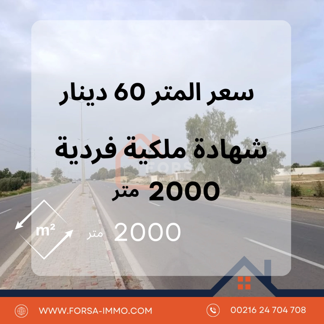 Agence Immobiliere A Kairouan Consultant Immobilier Kairouan 5
