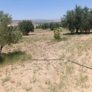 Agence Immobiliere A Kairouan Agence Forsa Immo 10