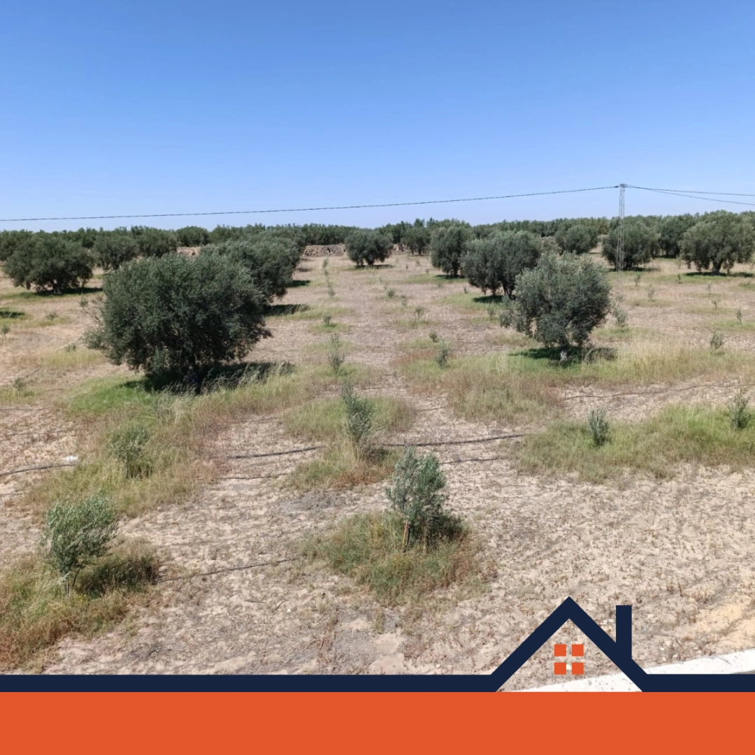 Agence Immobiliere A Kairouan Maison A Vendre 14