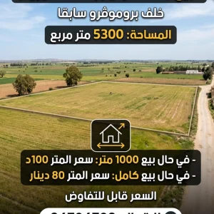 Agence Immobiliere A Kairouan Agence De Vente 10