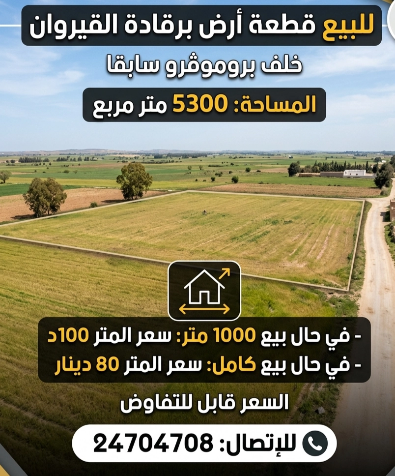 Agence Immobiliere A Kairouan Agence De Vente 10