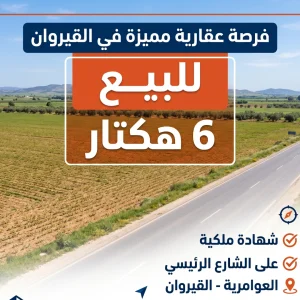 Agence Immobiliere A Kairouan Forsa Immobiliere 13