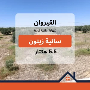 Agence Immobiliere A Kairouan Vendre Maison à 7