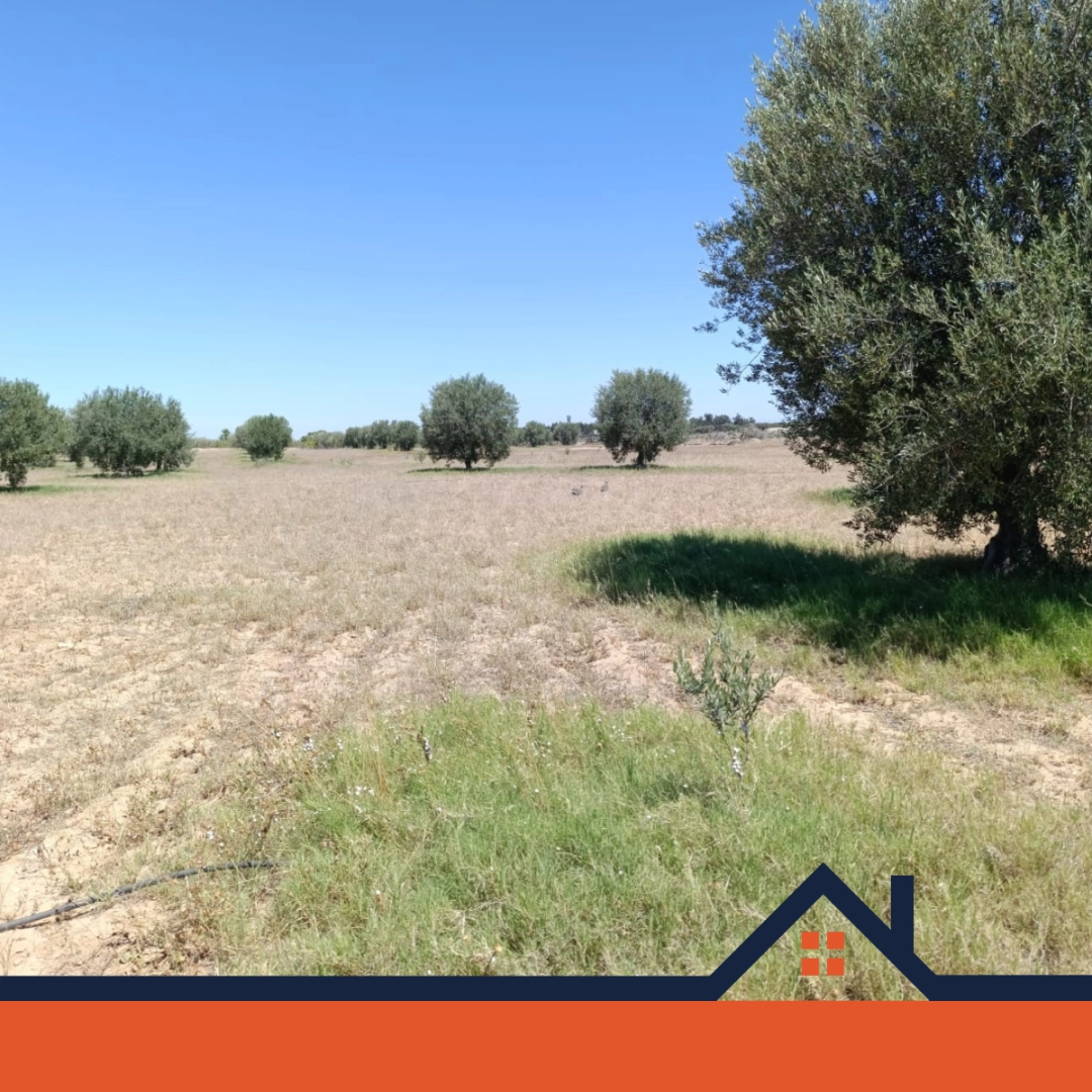 Agence Immobiliere A Kairouan Expert Immobilier Kairouan 7