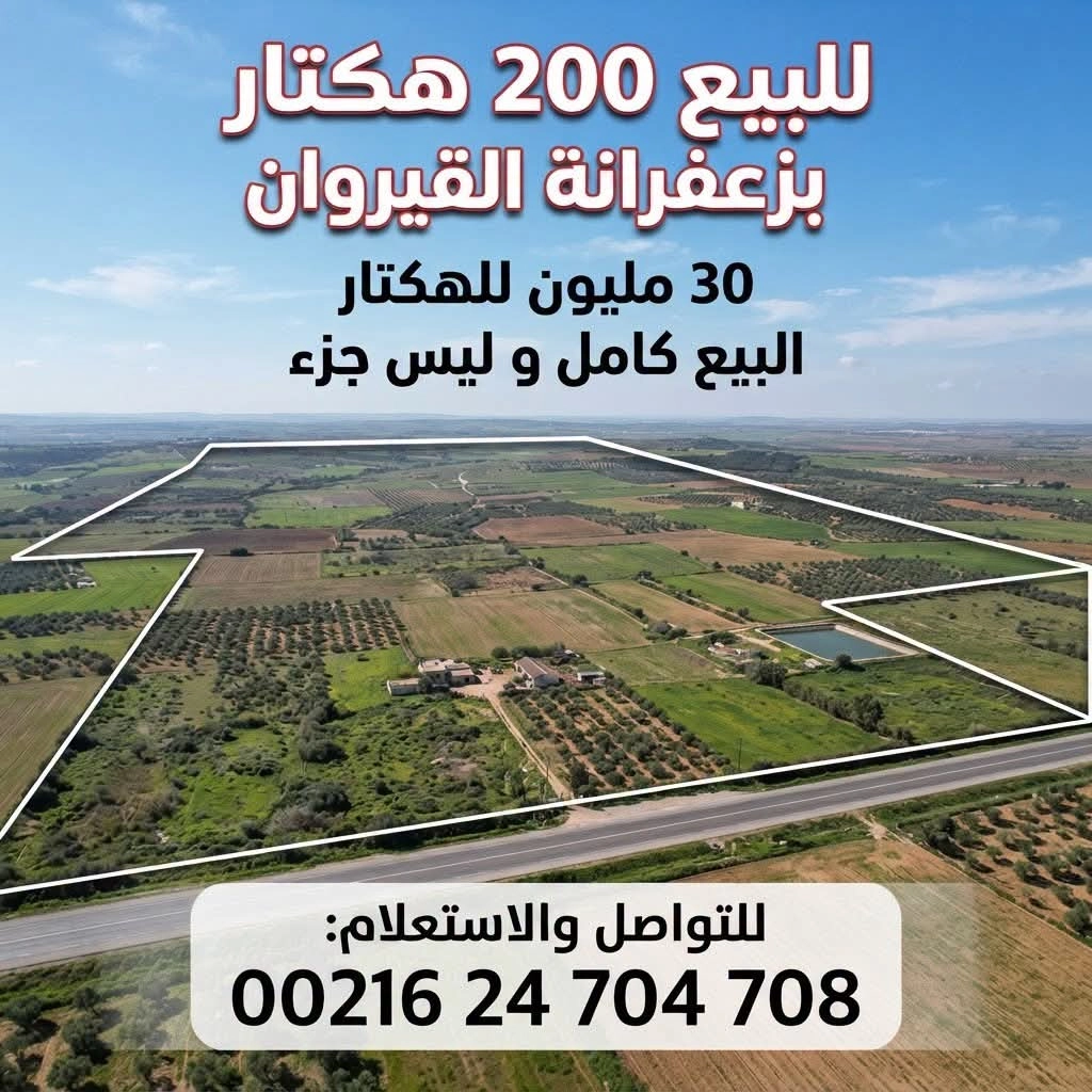 Agence Immobiliere A Kairouan Agence Immobilière Kairouan 20