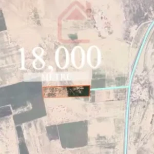 Agence Immobiliere A Kairouan Terrain Agricole A 14