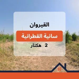 Agence Immobiliere A Kairouan Consultant Immobilier Kairouan 13