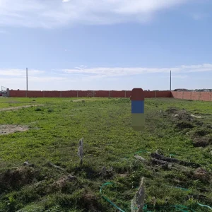 Agence Immobiliere A Kairouan Acheter Maison Pas 8