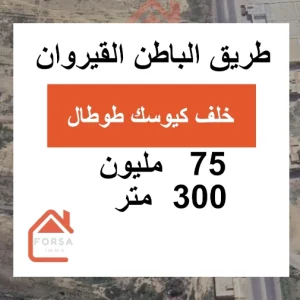 Agence Immobiliere A Kairouan Terrain Agricole A 13