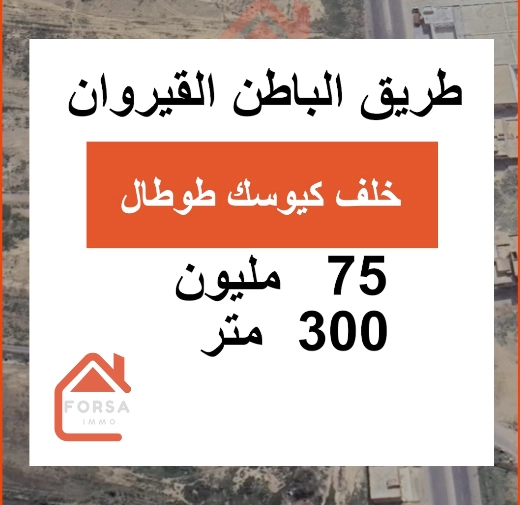 Agence Immobiliere A Kairouan Terrain Agricole A 13
