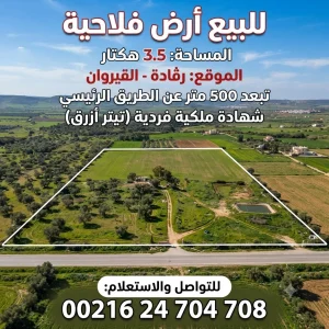 Agence Immobiliere A Kairouan Appartements A Vendre 12