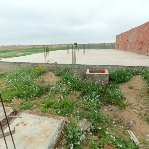 Agence Immobiliere A Kairouan Agence De Vente 17