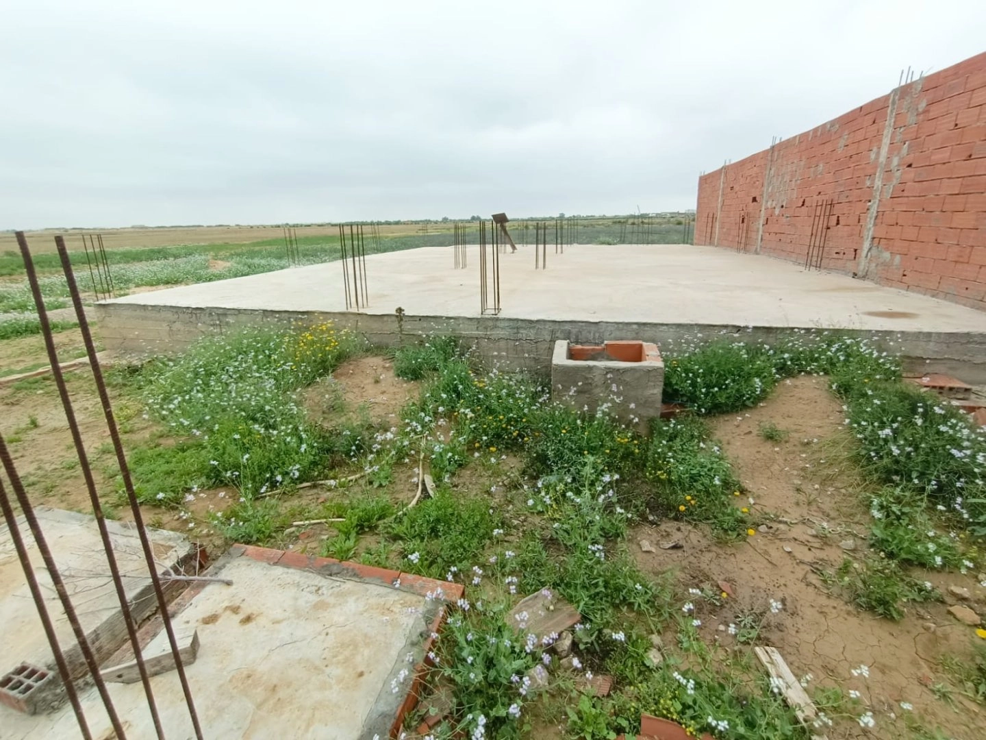 Agence Immobiliere A Kairouan Agence De Vente 17