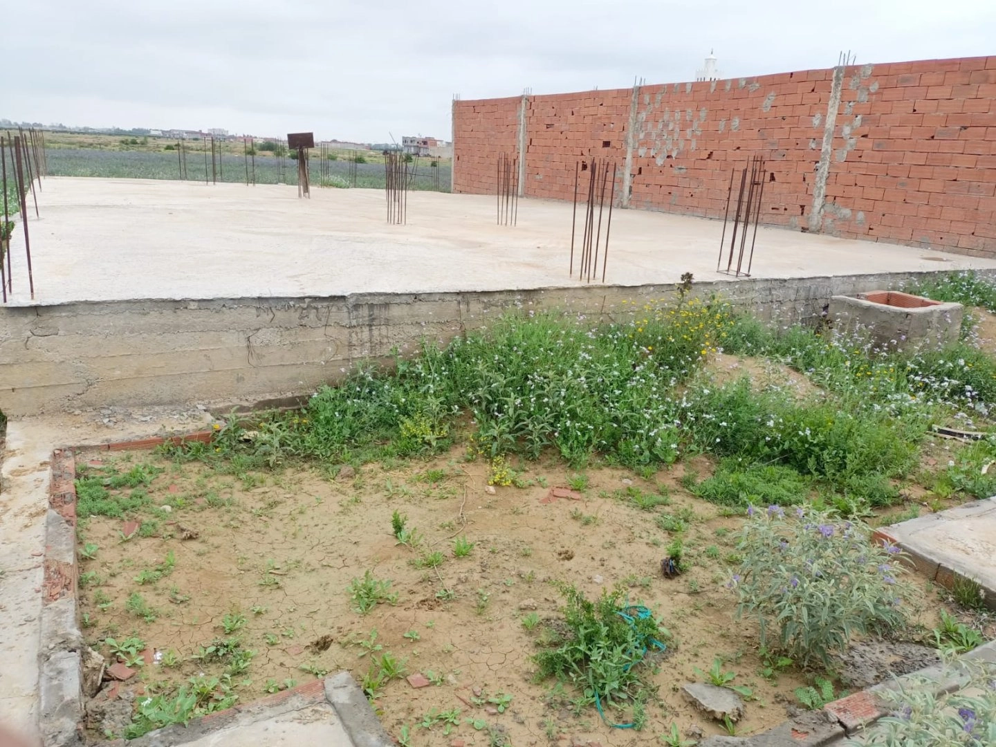 Agence Immobiliere A Kairouan Maison A Vendre 18