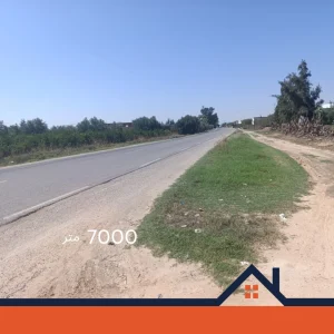Agence Immobiliere A Kairouan Guide Immobilier Kairouan 21