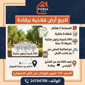 Agence Immobiliere A Kairouan Agence Immobilière Kairouan 27