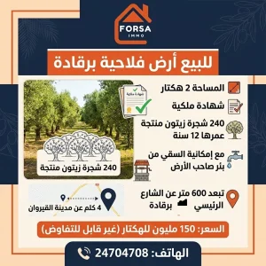 Agence Immobiliere A Kairouan Agence Immobilière Kairouan 27