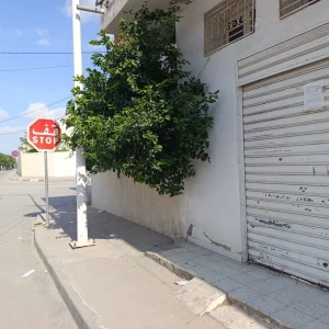 Agence Immobiliere A Kairouan Forsa Immo 28