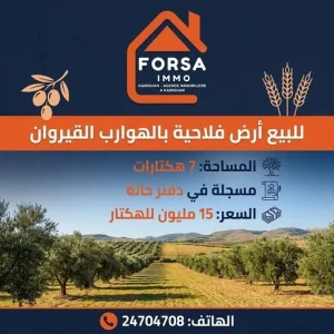 Agence Immobiliere A Kairouan Bonne Agence Immobilière 21